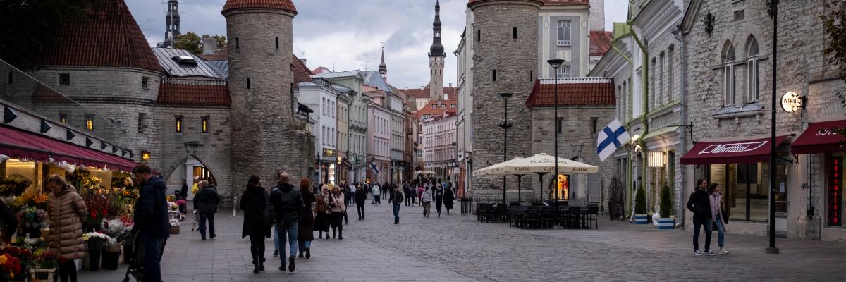 Serwis Tanulmányok Észtországban, oktatás, képzések - v.HU, study (Estonia)